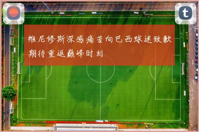 维尼修斯深感痛苦向巴西球迷致歉期待重返巅峰时刻