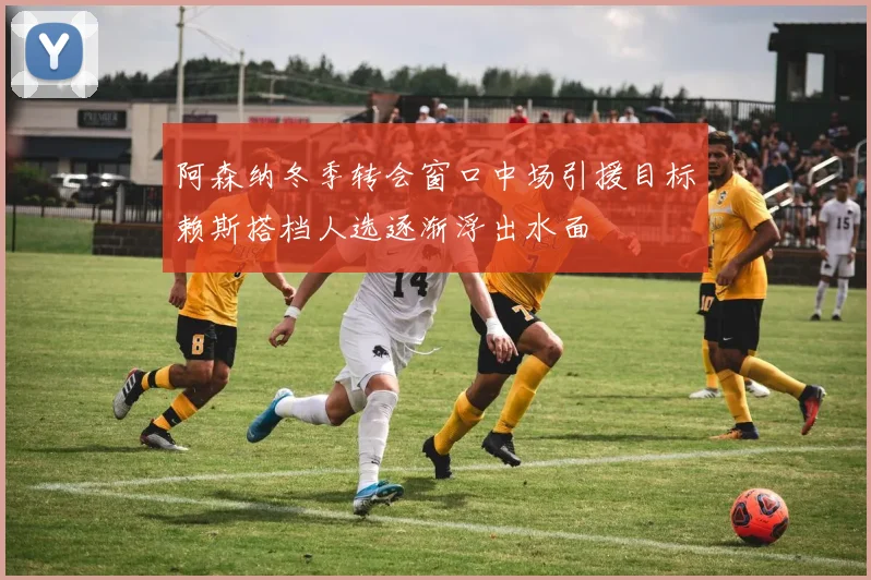阿森纳冬季转会窗口中场引援目标赖斯搭档人选逐渐浮出水面