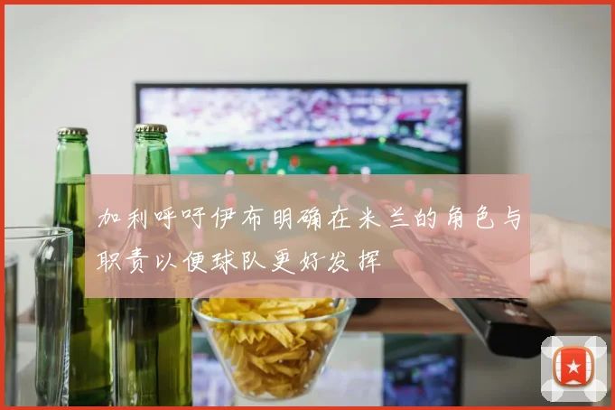 加利呼吁伊布明确在米兰的角色与职责以便球队更好发挥