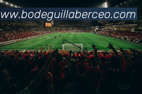 Taperia Berceo, bares y pubs en Ponteareas
